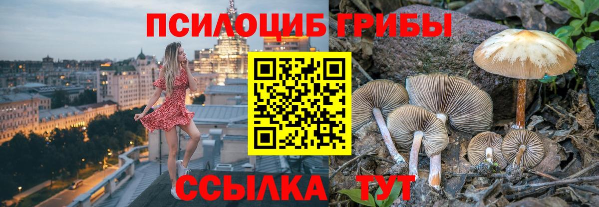 Псилоцибиновые грибы прущие грибы  Вход с VPN  Ангарск 